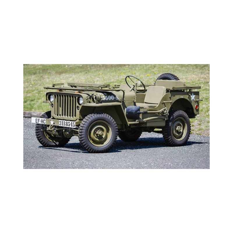 Direção assistida elétrica Jeep Willys