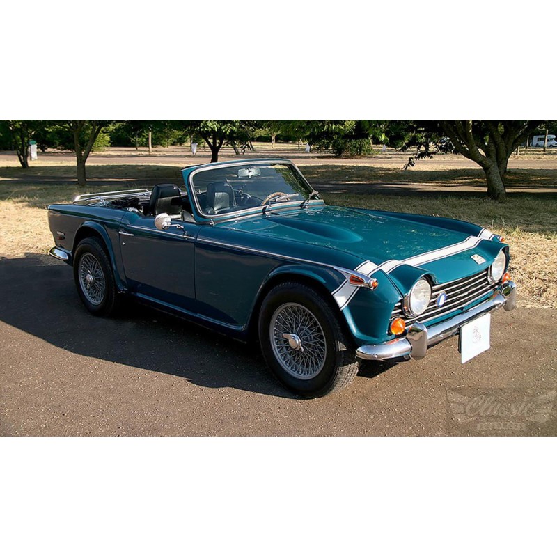 Direção assistida elétrica Triumph TR250